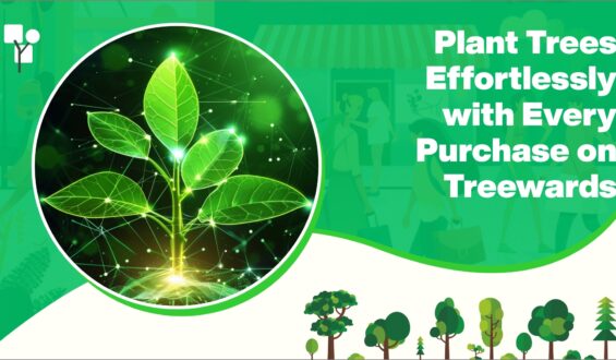 Plant Trees Effortlessly with Every Purchase on Treewards