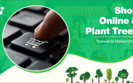 Shop Online and Plant Trees: Treewards Makes It Easy