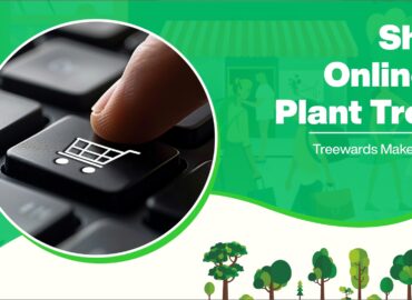 Shop Online and Plant Trees: Treewards Makes It Easy