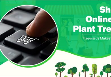 Shop Online and Plant Trees: Treewards Makes It Easy