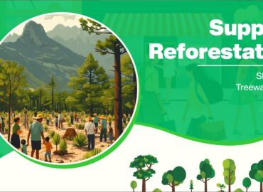 Support Reforestation: Shop with Treewards App