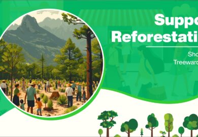 Support Reforestation: Shop with Treewards App