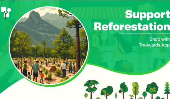 Support Reforestation: Shop with Treewards App