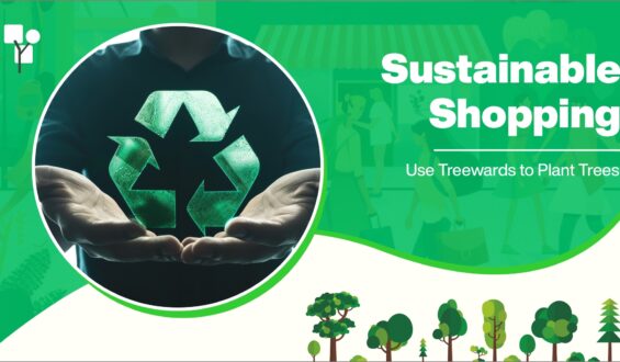 Sustainable Shopping: Use Treewards to Plant Trees