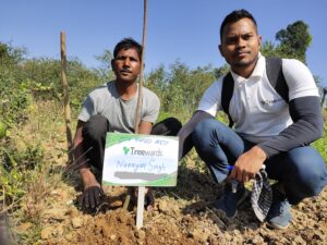 Tree Plantation Drive