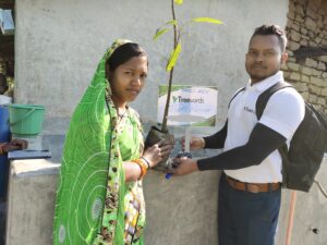 Tree Plantation Drive