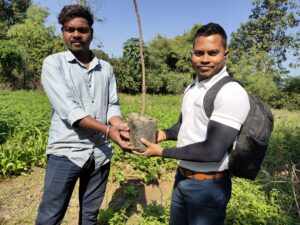 Tree Plantation Drive