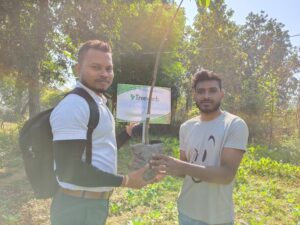 Tree Plantation Drive
