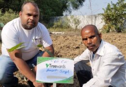 Tree Plantation Drive Story 43 – How Treewards helped Amrit Singh