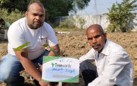 Tree Plantation Drive Story 43 – How Treewards helped Amrit Singh