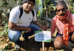 Tree Plantation Drive Story 48 – How Treewards aided Bechu Ram Kevat