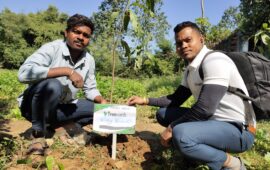 Tree Plantation Drive Story 49 – How Treewards aided Vinay Kanwar