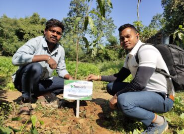 Tree Plantation Drive Story 49 – How Treewards aided Vinay Kanwar