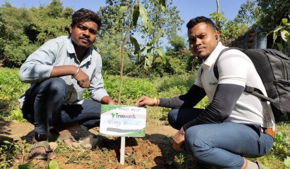 Tree Plantation Drive Story 49 – How Treewards aided Vinay Kanwar