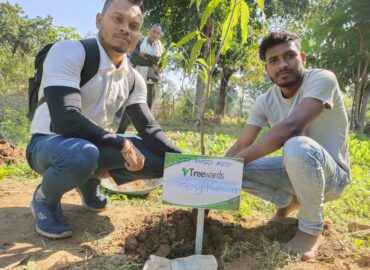 Tree Plantation Drive Story 50  – How Treewards helped Ajay Kanwar