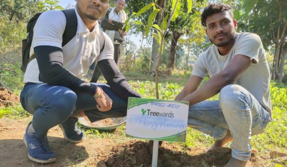 Tree Plantation Drive Story 50  – How Treewards helped Ajay Kanwar