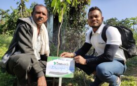Tree Plantation Drive Story 51  – How Treewards aided Dheerpal Singh