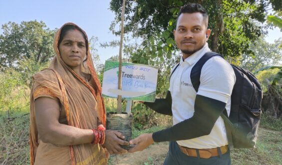 Tree Plantation Drive Story 52 – How Treewards Contributed Janki Bai
