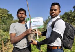 Tree Plantation Drive Story 53 – How Treewards helped Narayan Singh