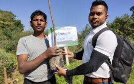 Tree Plantation Drive Story 53 – How Treewards helped Narayan Singh