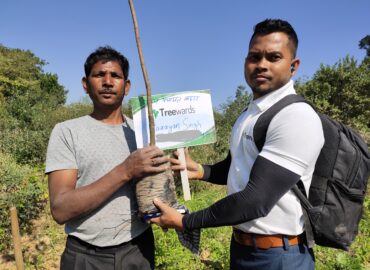 Tree Plantation Drive Story 53 – How Treewards helped Narayan Singh