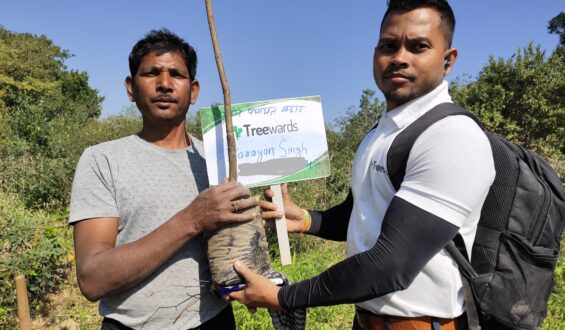 Tree Plantation Drive Story 53 – How Treewards helped Narayan Singh