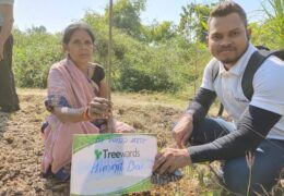 Tree Plantation Drive Story 54 – How Treewards helped Himmat Bai