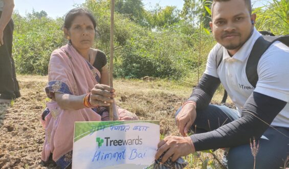 Tree Plantation Drive Story 54 – How Treewards helped Himmat Bai