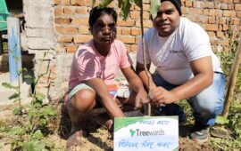 Tree Plantation Drive Story 56 – How Treewards aided Dileshwar Singh