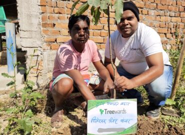 Tree Plantation Drive Story 56 – How Treewards aided Dileshwar Singh