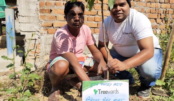 Tree Plantation Drive Story 56 – How Treewards aided Dileshwar Singh
