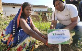 Tree Plantation Drive Story 57 – How Treewards aided Jhool Bai Kanwar