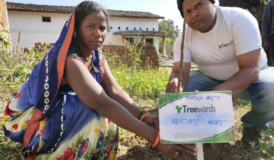 Tree Plantation Drive Story 57 – How Treewards aided Jhool Bai Kanwar
