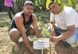 Tree Plantation Drive Story 58 – How Treewards helped Santosh Yadav
