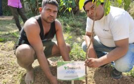Tree Plantation Drive Story 58 – How Treewards helped Santosh Yadav
