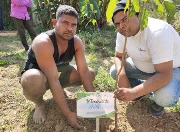 Tree Plantation Drive Story 58 – How Treewards helped Santosh Yadav