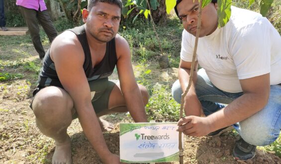Tree Plantation Drive Story 58 – How Treewards helped Santosh Yadav