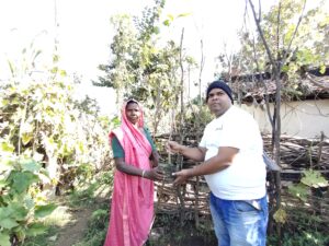 Tree Plantation Drive 