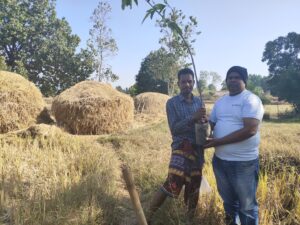 Tree Plantation Drive