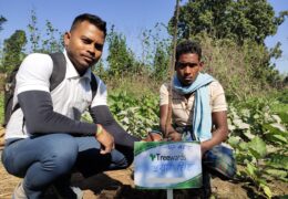 Tree Plantation Drive Story 59 – How Treewards aided Puraan Singh