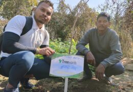 Tree Plantation Drive Story 60 – How Treewards helped Kumar Singh
