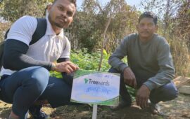 Tree Plantation Drive Story 60 – How Treewards helped Kumar Singh
