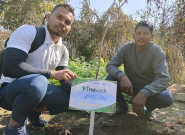 Tree Plantation Drive Story 60 – How Treewards helped Kumar Singh