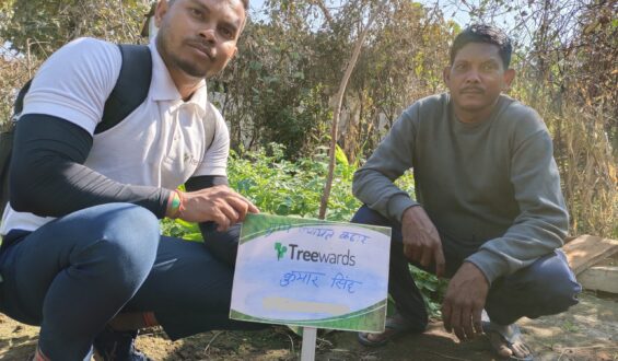 Tree Plantation Drive Story 60 – How Treewards helped Kumar Singh