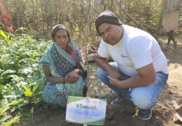 Tree Plantation Drive Story 61 – How Treewards aided Kamla Bai