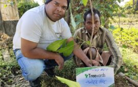 Tree Plantation Drive Story 62 – How Treewards helped Manohar Singh