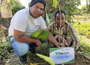 Tree Plantation Drive Story 62 – How Treewards helped Manohar Singh