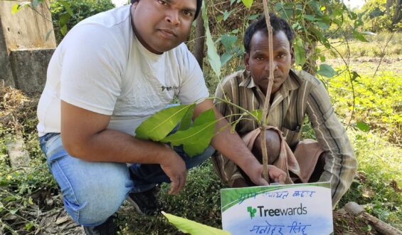 Tree Plantation Drive Story 62 – How Treewards helped Manohar Singh