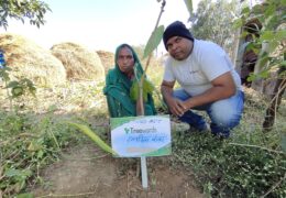 Tree Plantation Drive Story 63 – How Treewards aided Ramshila Kanwar