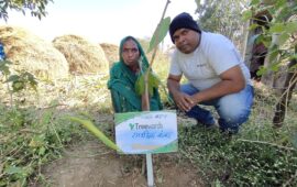 Tree Plantation Drive Story 63 – How Treewards aided Ramshila Kanwar